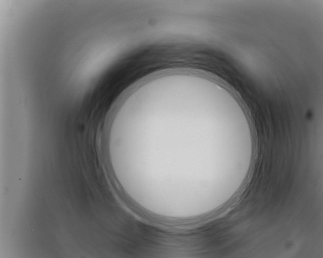 X0000091560431200708171105