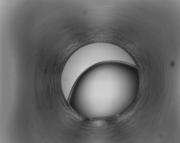 X0000091560432200708171105