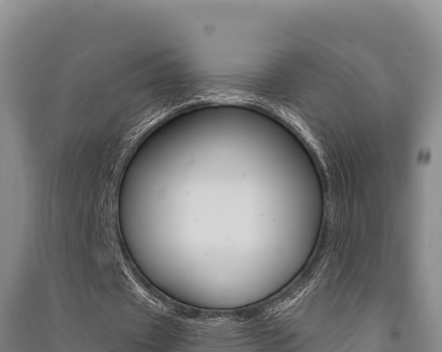 X0000091560433200708171104
