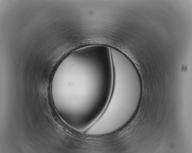 X0000091560434200708171104