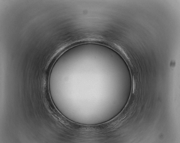 X0000091560435200708171104