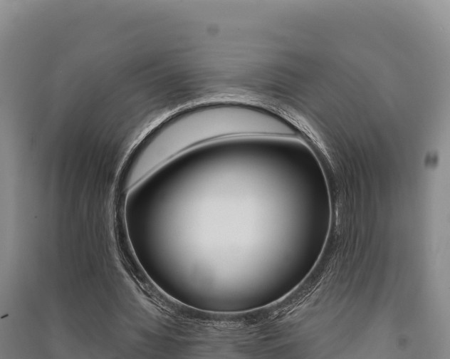 X0000091560436200708171104