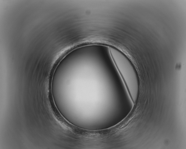 X0000091560438200708171104