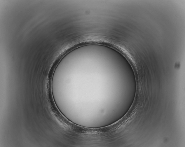 X0000091560439200708171104