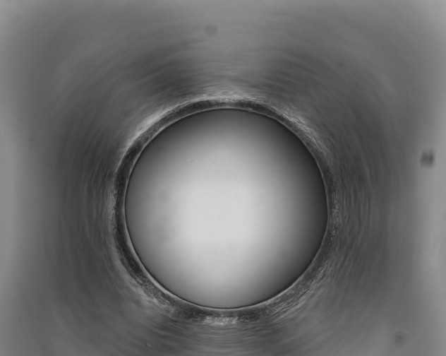 X0000091560440200708171104