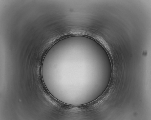 X0000091560441200708171104