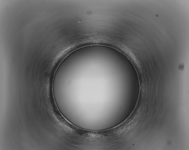 X0000091560442200708171105