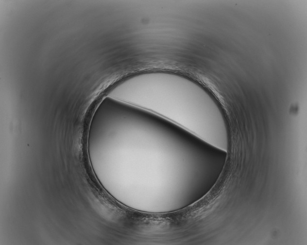 X0000091560443200708171105
