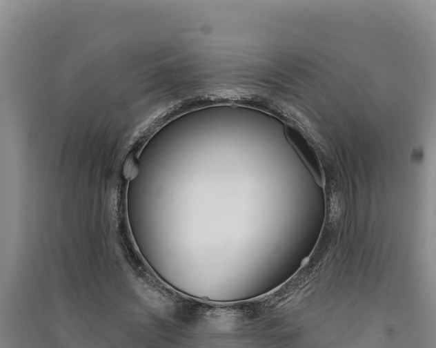 X0000091560444200708171105
