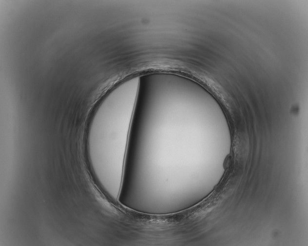 X0000091560445200708171105