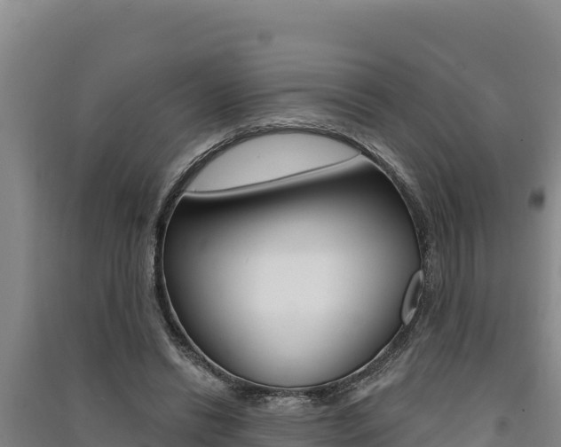 X0000091560446200708171105