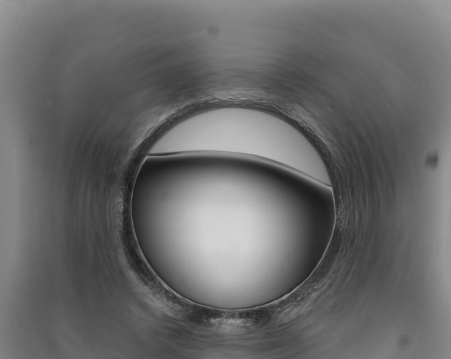X0000091560448200708171105
