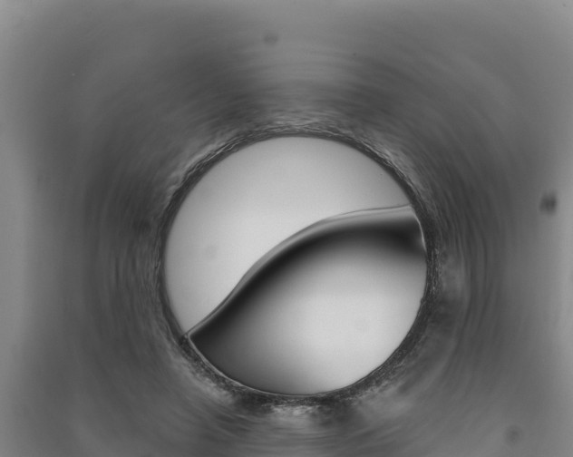 X0000091560450200708171105