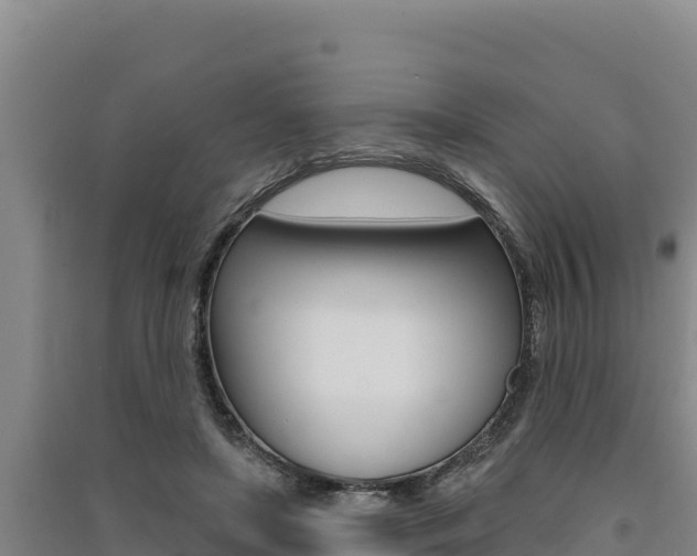 X0000091560451200708171105