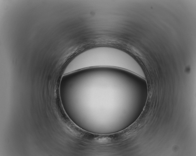 X0000091560452200708171105