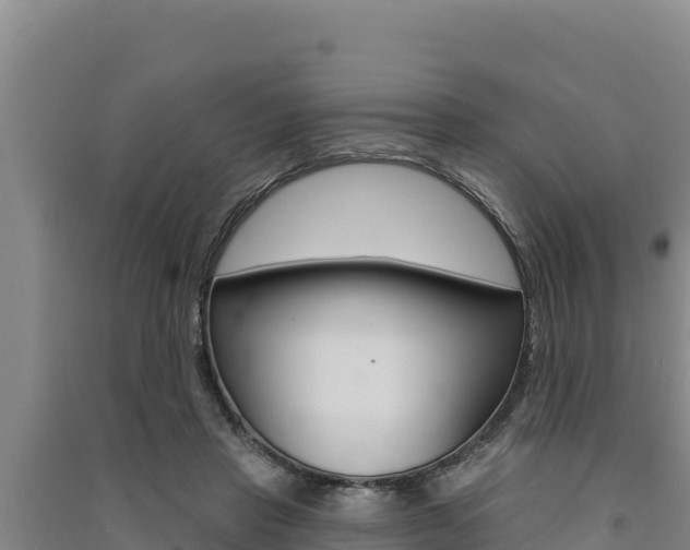 X0000091560453200708171105