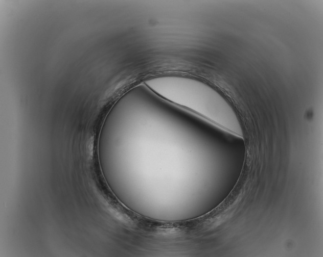 X0000091560454200708171105
