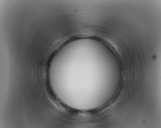 X0000091560455200708171105