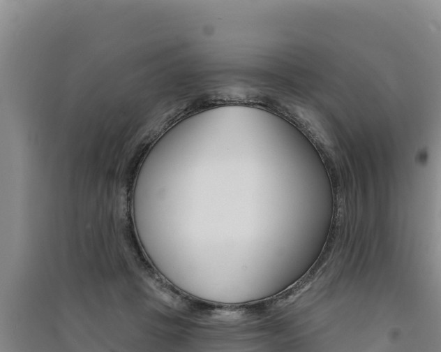 X0000091560457200708171105