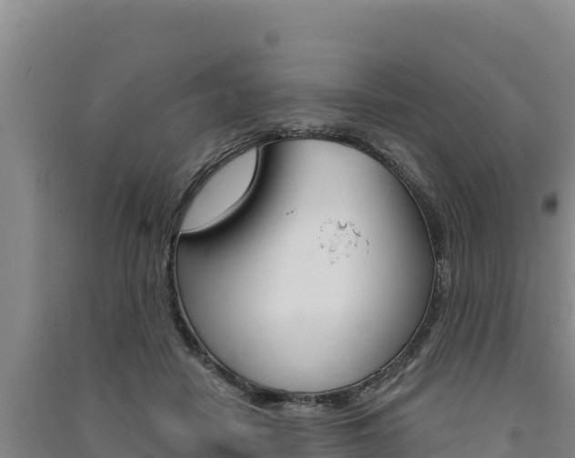 X0000091560458200708171105