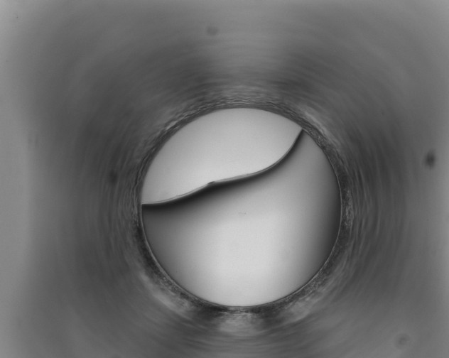 X0000091560459200708171105