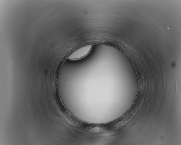 X0000091560460200708171105