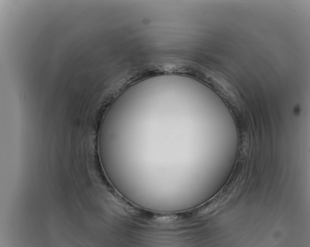 X0000091560461200708171105