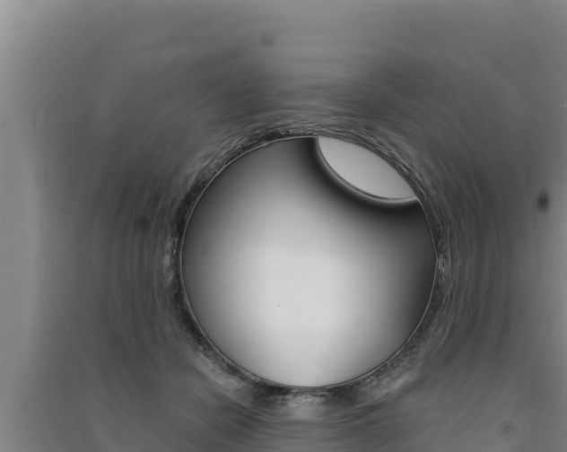 X0000091560462200708171105