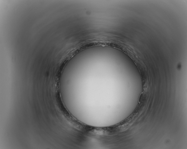 X0000091560464200708171105