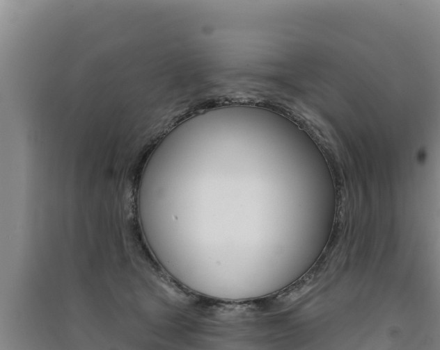 X0000091560465200708171105
