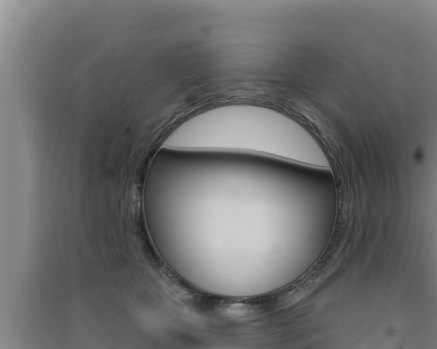 X0000091560467200708171105