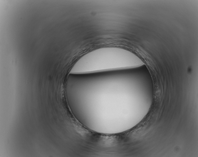 X0000091560469200708171105