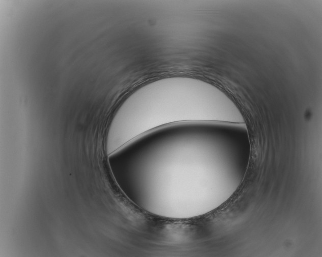 X0000091560470200708171105
