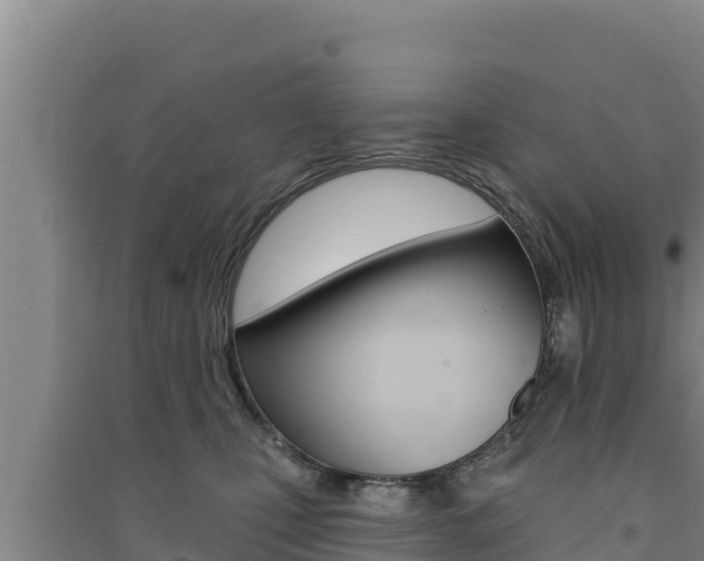 X0000091560471200708171105