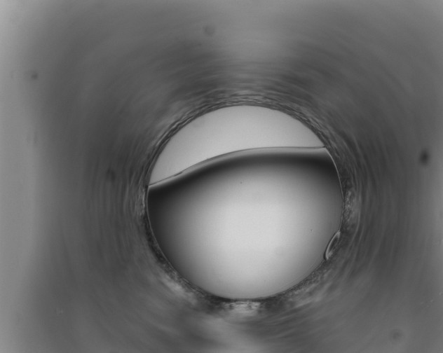 X0000091560474200708171105