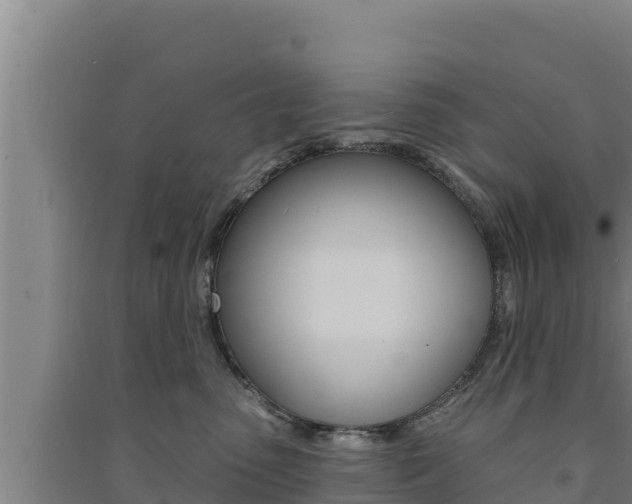 X0000091560475200708171105