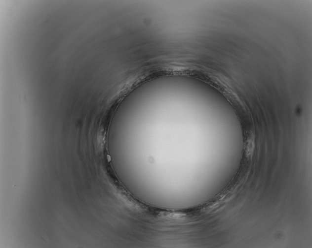 X0000091560476200708171105