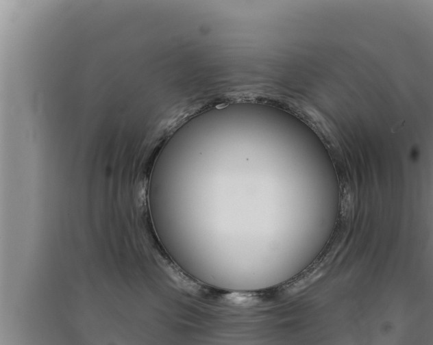 X0000091560477200708171105