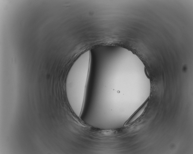 X0000091560479200708171105