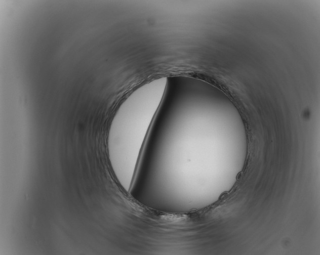 X0000091560480200708171105