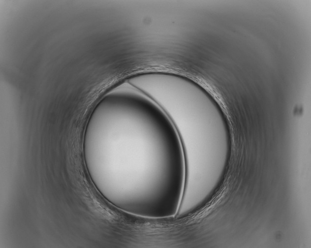 X0000091560481200708171104