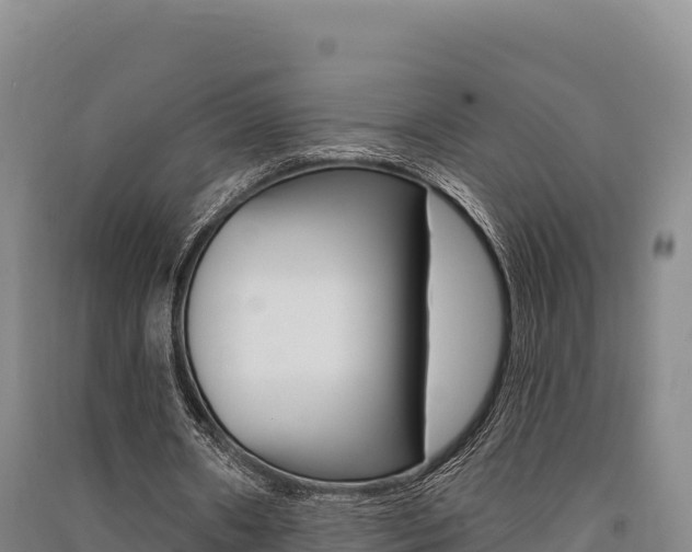 X0000091560482200708171104