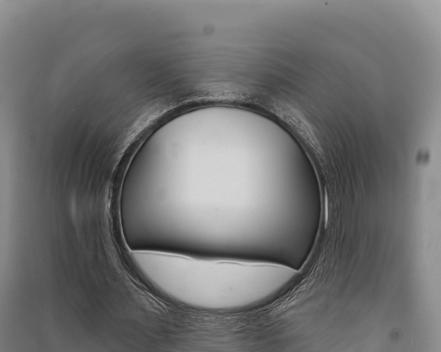X0000091560483200708171104
