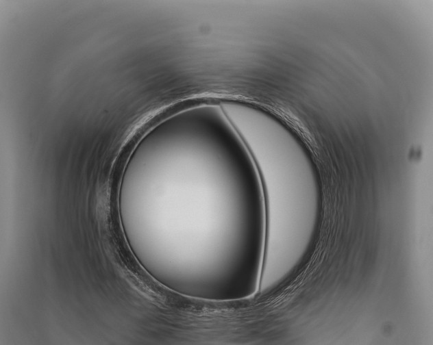X0000091560484200708171104