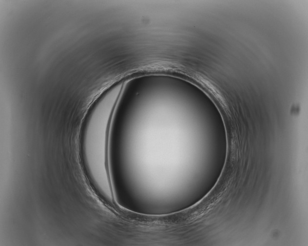 X0000091560485200708171104