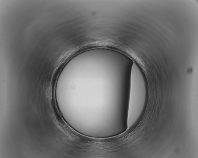 X0000091560486200708171104