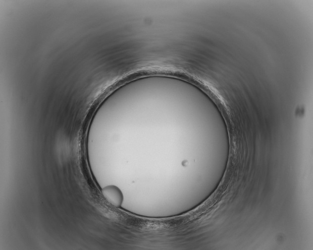 X0000091560487200708171104