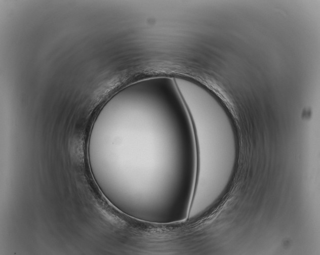X0000091560489200708171104