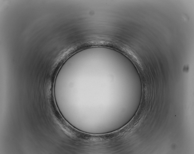 X0000091560490200708171104