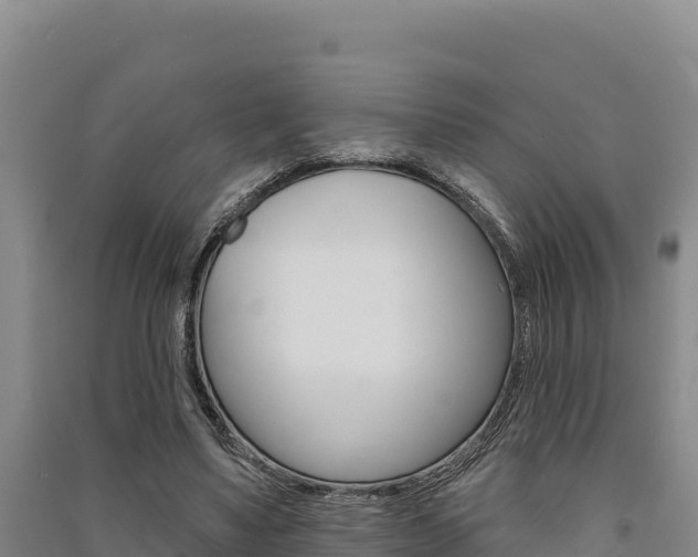X0000091560491200708171104